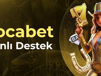 locabet canlı destek